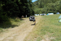 Image2019-07-10-14-07-07-0489