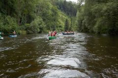 Image2019-07-11-15-07-21-0561