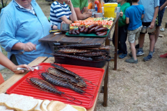 Image2019-07-11-19-07-25-0574