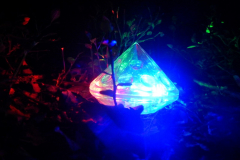 20190222