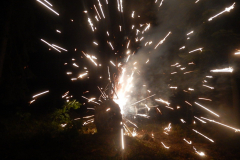 20190225