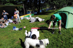IMG_20190815_100245