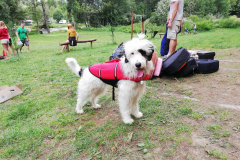 IMG_20190816_115517