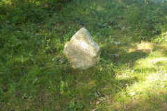 rak-20210706-183359-0147