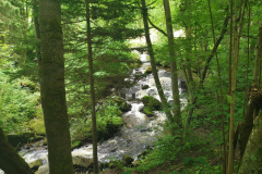 rak-20210711-150017-0369