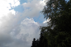 rak-20210714-162034-0541