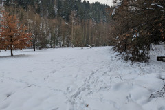 PXL_20231209_130139000