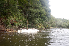 2025-09-13_112400-0165