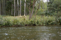 2025-09-13_134508-0052