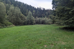 2025-09-14_110848-0144