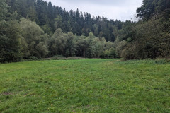 2025-09-14_110919-0145