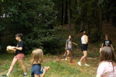 2025-06-29_171025-0019