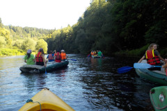 2025-07-01_093116-0133