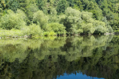 2025-07-01_110546-0136
