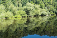 2025-07-01_110549-0137