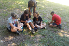 2025-07-02_143828-0264
