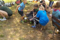 2025-07-04_143431-0401
