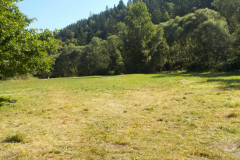 2025-07-05_093800-0433