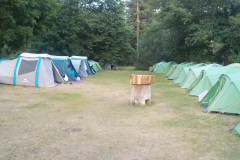 2025-07-05_204916-0478