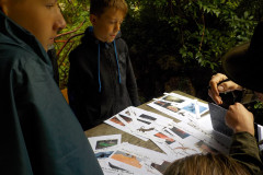2025-07-08_094923-0684