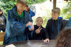 2025-07-08_100604-0692