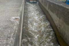 2025-07-10_122932-0897