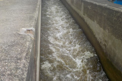 2025-07-10_122951-0899