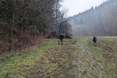 PXL_20250329_095205657