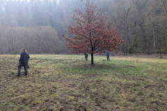 PXL_20250329_095209454