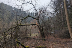 PXL_20250329_101113743