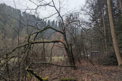 PXL_20250329_101114505