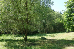 DSC03050