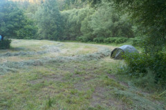 DSCN7769