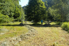DSCN7781