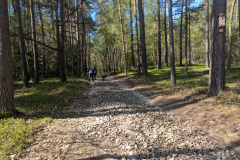 PXL_20260425_081304398