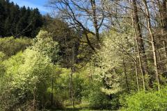 WhatsApp-Image-2026-04-25-at-19.07.05-12