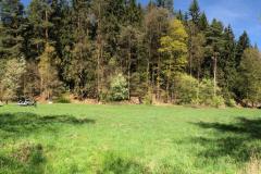 WhatsApp-Image-2026-04-25-at-19.07.05-8