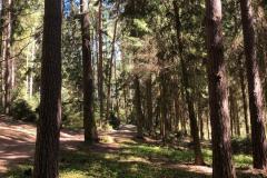 WhatsApp-Image-2026-04-25-at-19.07.05-9