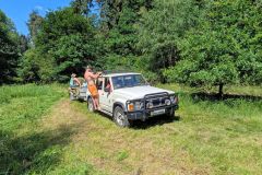 PXL_20260620_083357941