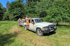 PXL_20260620_083358796