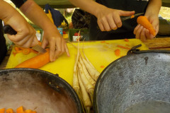 DSCN5085