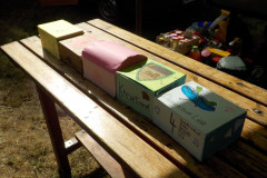 DSCN5123