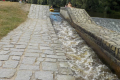 DSCN5149